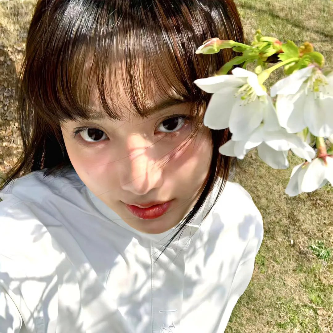 哈啦上菜
