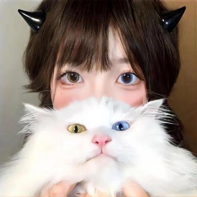 狗狗监护权